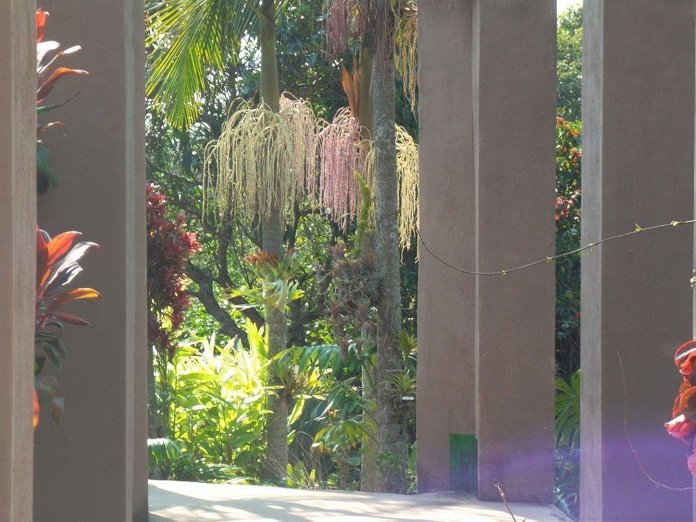 Ku De Ta B&B ホワイトリバー エクステリア 写真